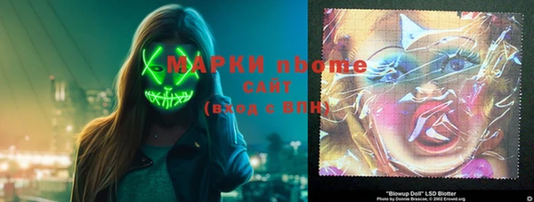 прущие грибы Аркадак