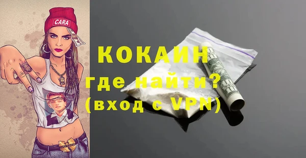 прущие грибы Аркадак