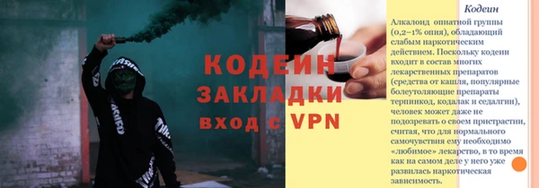 прущие грибы Аркадак