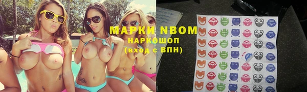 прущие грибы Аркадак